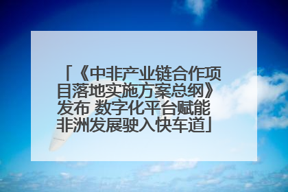 《中非产业链合作项目落地实施方案总纲》发布 数字化平台赋能非洲发展驶入快车道