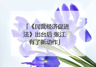 《民营经济促进法》出台后 张江有了新动作
