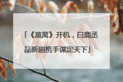 《莫离》开机，白鹿丞磊新剧携手谋定天下