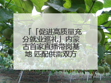 「促进高质量充分就业巡礼」内蒙古首家直播带岗基地 匹配供需双方 促进上岗就业