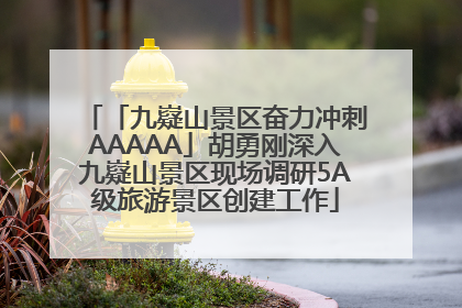 「九嶷山景区奋力冲刺AAAAA」胡勇刚深入九嶷山景区现场调研5A级旅游景区创建工作