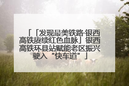 「发现最美铁路·银西高铁赓续红色血脉」银西高铁环县站赋能老区振兴驶入“快车道”