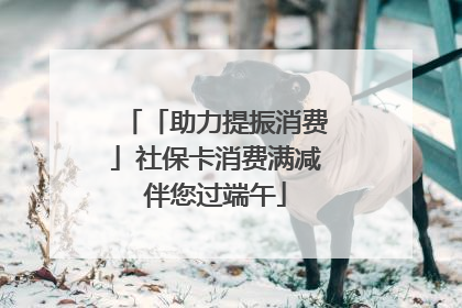 「助力提振消费」社保卡消费满减伴您过端午