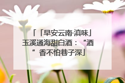 「早安云南·滇味」玉溪通海甜白酒：“酒”香不怕巷子深