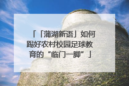 「蒲湖新语」如何踢好农村校园足球教育的“临门一脚”