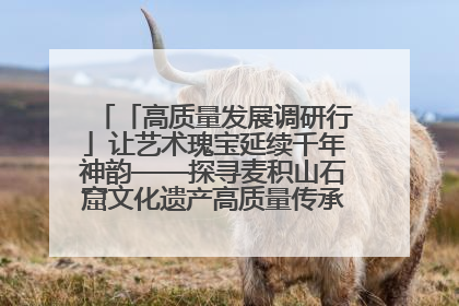 「高质量发展调研行」让艺术瑰宝延续千年神韵——探寻麦积山石窟文化遗产高质量传承保护的奥秘