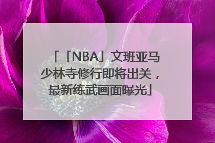 「NBA」文班亚马少林寺修行即将出关，最新练武画面曝光