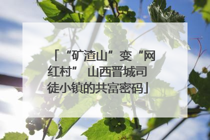 “矿渣山”变“网红村” 山西晋城司徒小镇的共富密码