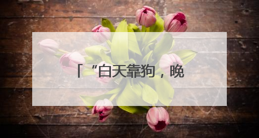 “白天靠狗，晚上靠灯”！菌子近期疯长！别乱捡