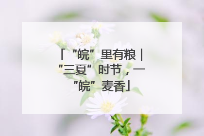 “皖”里有粮｜“三夏”时节，一“皖”麦香