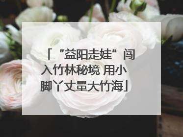 “益阳走娃”闯入竹林秘境 用小脚丫丈量大竹海