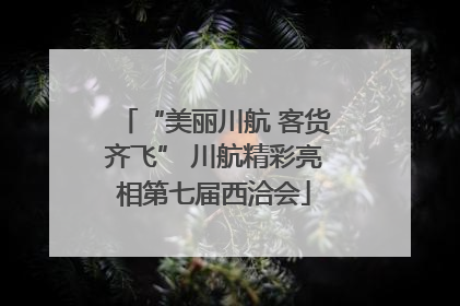 “美丽川航 客货齐飞” 川航精彩亮相第七届西洽会
