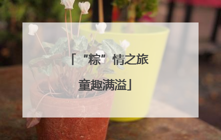 “粽”情之旅 童趣满溢