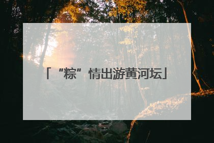“粽”情出游黄河坛