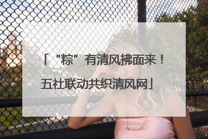 “粽”有清风拂面来！五社联动共织清风网