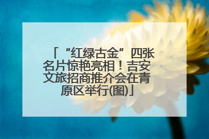 “红绿古金”四张名片惊艳亮相！吉安文旅招商推介会在青原区举行(图)