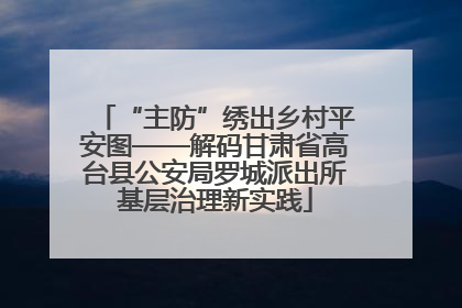 “主防”绣出乡村平安图——解码甘肃省高台县公安局罗城派出所基层治理新实践