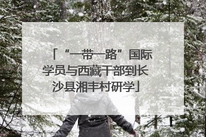“一带一路”国际学员与西藏干部到长沙县湘丰村研学