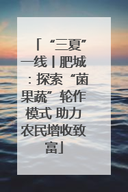 “三夏”一线丨肥城：探索“菌果蔬”轮作模式 助力农民增收致富