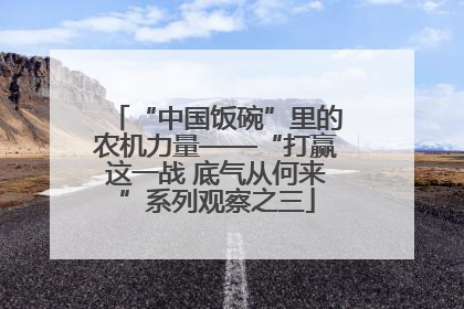 “中国饭碗”里的农机力量——“打赢这一战 底气从何来”系列观察之三