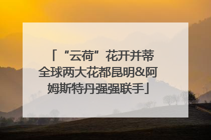 “云荷”花开并蒂 全球两大花都昆明&阿姆斯特丹强强联手