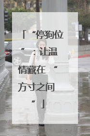 “停狗位 ”：让温情藏在 “方寸之间 ”