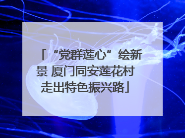 “党群莲心”绘新景 厦门同安莲花村走出特色振兴路