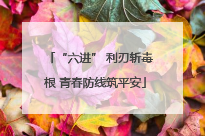 “六进” 利刃斩毒根 青春防线筑平安