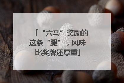 “六马”奖励的这条“腿”，风味比奖牌还厚重