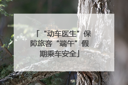 “动车医生”保障旅客“端午”假期乘车安全