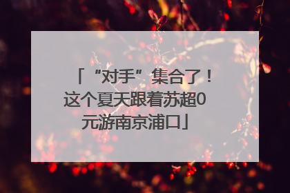 “对手”集合了！这个夏天跟着苏超0元游南京浦口