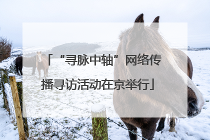 “寻脉中轴”网络传播寻访活动在京举行