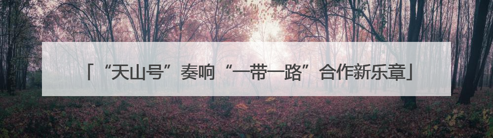 “天山号”奏响“一带一路”合作新乐章