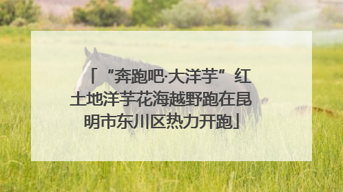 “奔跑吧·大洋芋”红土地洋芋花海越野跑在昆明市东川区热力开跑