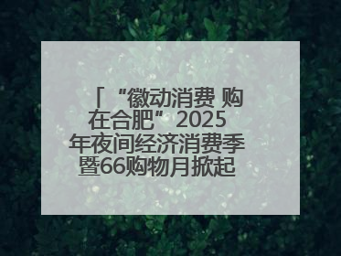 “徽动消费 购在合肥”2025年夜间经济消费季暨66购物月掀起消费热潮