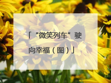 “微笑列车”驶向幸福（图）