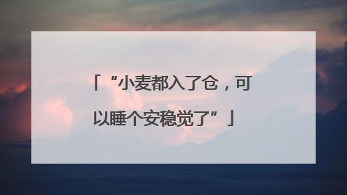 “小麦都入了仓，可以睡个安稳觉了”