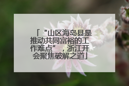 “山区海岛县是推动共同富裕的工作难点”，浙江开会聚焦破解之道