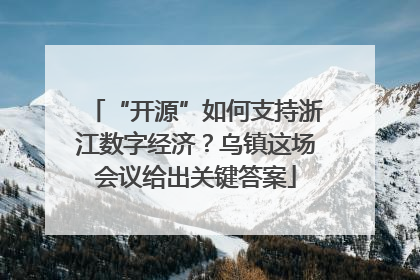 “开源”如何支持浙江数字经济？乌镇这场会议给出关键答案