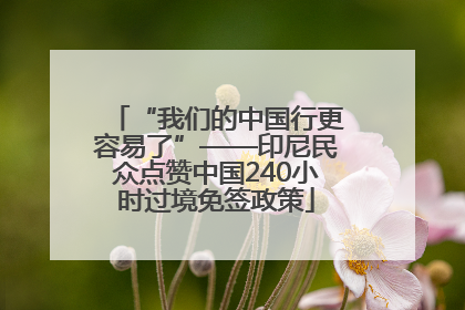“我们的中国行更容易了”——印尼民众点赞中国240小时过境免签政策