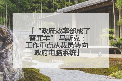 “政府效率部成了替罪羊” 马斯克：工作重点从裁员转向政府电脑系统