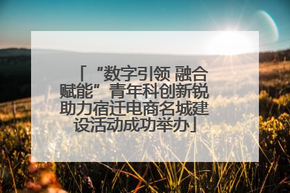 “数字引领 融合赋能”青年科创新锐助力宿迁电商名城建设活动成功举办