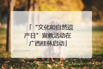 “文化和自然遗产日”宣教活动在广西桂林启动