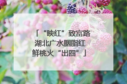 “映红”致富路 湖北广水胭脂红鲜桃火“出圈”