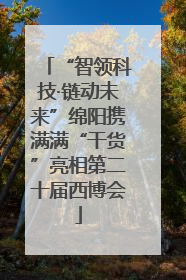 “智领科技·链动未来”绵阳携满满“干货”亮相第二十届西博会