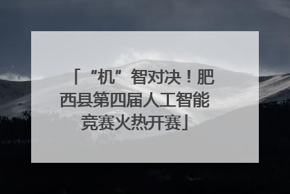 “机”智对决！肥西县第四届人工智能竞赛火热开赛