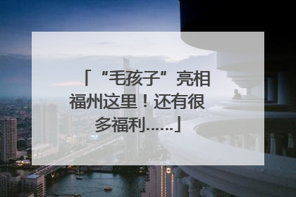“毛孩子”亮相福州这里！还有很多福利……