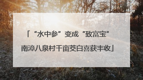 “水中参”变成“致富宝” 南漳八泉村千亩茭白喜获丰收