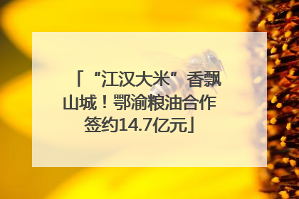 “江汉大米”香飘山城！鄂渝粮油合作签约14.7亿元