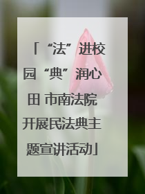 “法”进校园“典”润心田 市南法院开展民法典主题宣讲活动